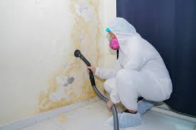 Why You Should Choose Our Mold Remediation Services in Farmerville, LA